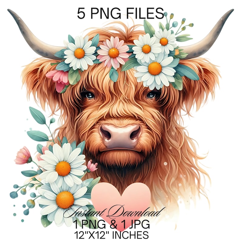 Highland Cow Watercolor Clipart: Spring Daisy Flowers (PNG, JPG) - Etsy