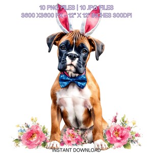 Easter Boxer Dog Wearing Floral Bow & Bunny Ear Handband Ready for Easter Egg Hunting Clipart PNG | 9 Dog Lover Sublimation Commercial Use