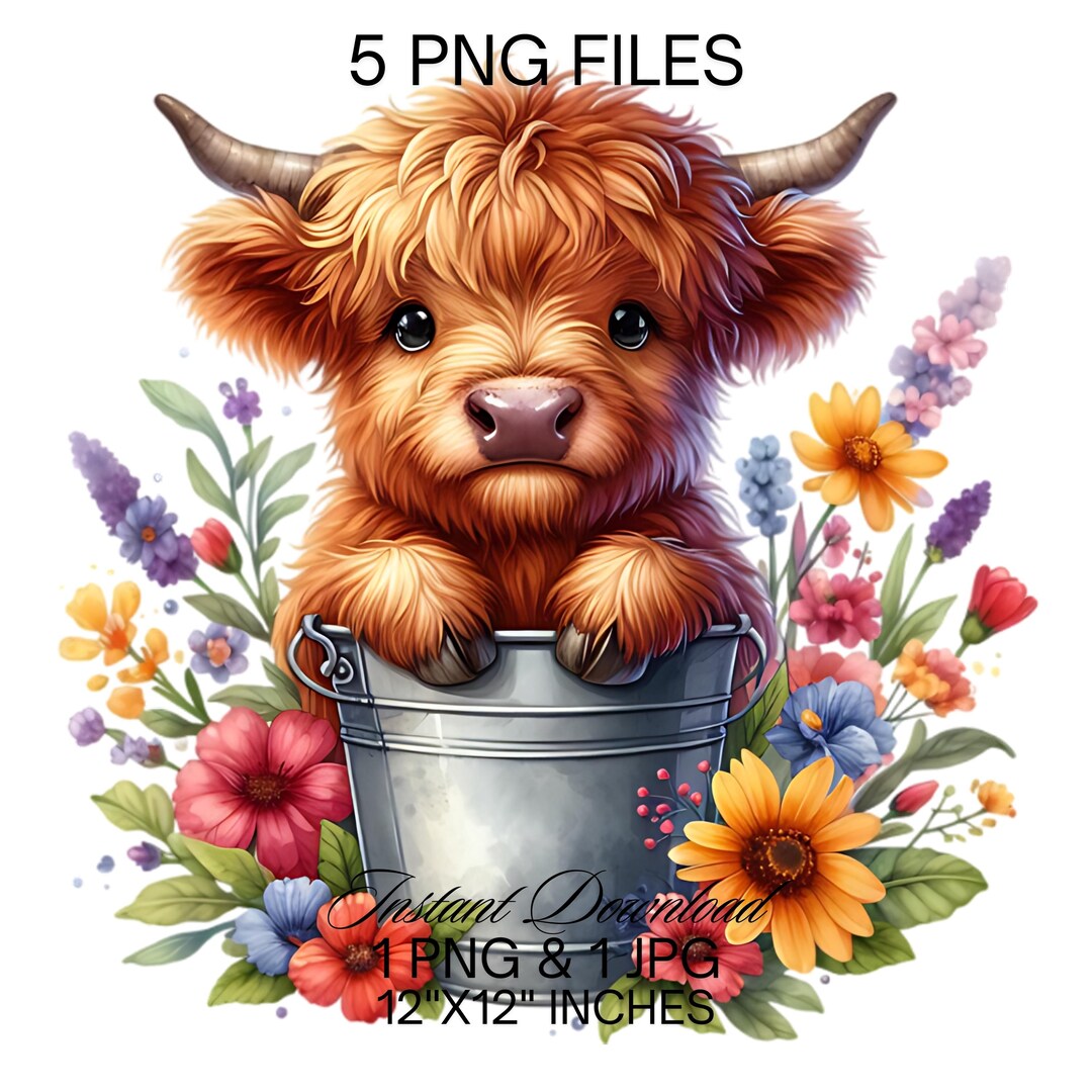 Highland Cow Watercolor Clipart: Spring Flowers PNG JPG (digital ...