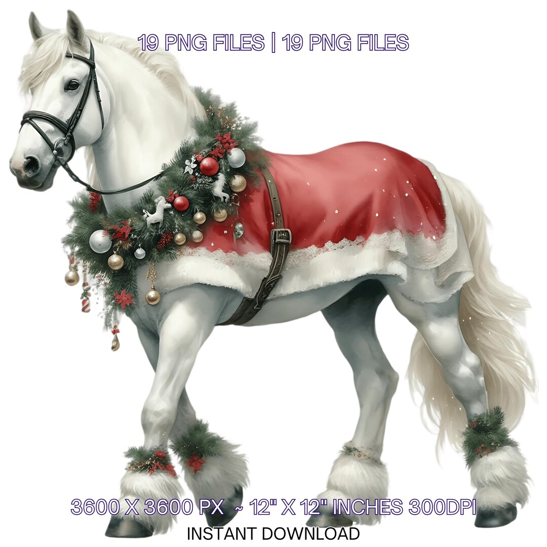 19 Christmas White Horse PNG Clipart | Santa Horse | Santa Hat | Santa ...