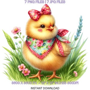 7 cliparts PNG poussin de printemps, chèvre aquarelle, poulet de la ferme, poule, fabrication de cartes, scrapbooking, journal indésirable, image par sublimation usage Commercial