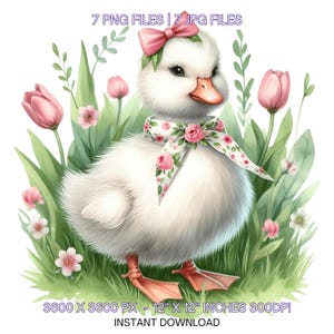 7 printemps petit canard PNG Clipart, canard aquarelle, poulet de la ferme, canard carterie, scrapbooking, journal indésirable, sublimation usage commercial
