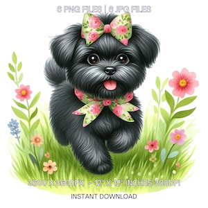 6 imágenes PNG de perritos negros de primavera, perrito de acuarela, mascota familiar, creación de tarjetas, álbumes de recortes, diario basura, sublimación para uso comercial