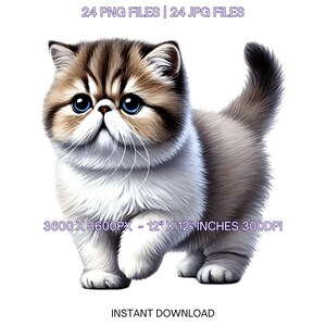 24 Exotic Shorthair Cat PNG Clipart, Watercolor Pet for Pet Portrait, Card Making, Scrapbooking, Junk Journaling, Sublimation Commercial Use