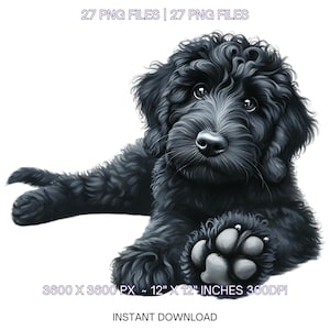 27 imágenes PNG de perros Goldendoodle negros para retratos de mascotas / Perro bebé doodle de acuarela para creación de tarjetas, scrapbooking, sublimación, uso comercial