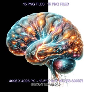 Może przedstawiać: Cyfrowa ilustracja ludzkiego mózgu z jarzącymi się, kolorowymi ścieżkami neuronalnymi. Obraz ma rozmiar 4096 x 4096 pikseli i mierzy około 13,5 cala na 13,5 cala przy 300 DPI.  Dołączono 15 plików PNG.