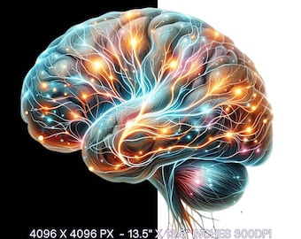 Watercolor Brain Clipart: Colorful PNG Illustrations (Digital Download)