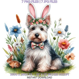 Easter Scottish Terrier Dog Wearing Floral Bow & Bunny Ear Handband Ready for Easter Egg Hunting Clipart PNG, 7 Dog Lover Commercial Use