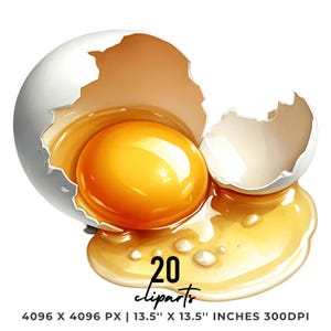 May include: A digital illustration of a cracked egg with a bright yellow yolk spilling out. The eggshell is white with a light brown interior. The image includes the text "20 cliparts" and dimensions of 13.5" x 13.5" inches.