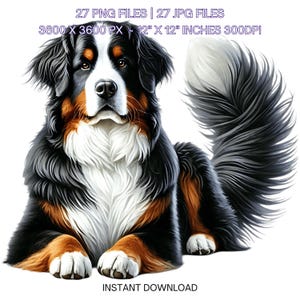 Op de afbeelding: Een digitale illustratie van een Berner Sennenhond die ligt met zijn staart opgerold achter hem. De hond is zwart, wit en bruin met een witte vlek op zijn borst. De hond kijkt naar de kijker.