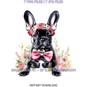 Buldog francuski Pies noszący kokardę kwiatową i opaskę na uszy królika gotowy na polowanie na pisanki Clipart PNG | 7 Miłośnik psów Użytek komercyjny