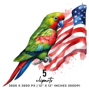 Watercolor Parrot USA Flag Clipart: Patriotic PNG, JPG (Digital Download)