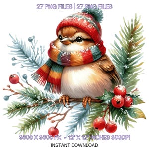 27 Christmas SPARROW Birds Clipart PNG, Watercolor Papercraft, Junk Journal Scrapbooking, Card Making, Sublimation, Commercial Use