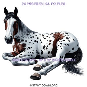24 Appaloosa Pferd PNG Clipart, Aquarell Tiere auf dem Bauernhof für die Kartenherstellung, Scrapbooking, Junk Journaling, Sublimationsbild Kommerzielle Nutzung