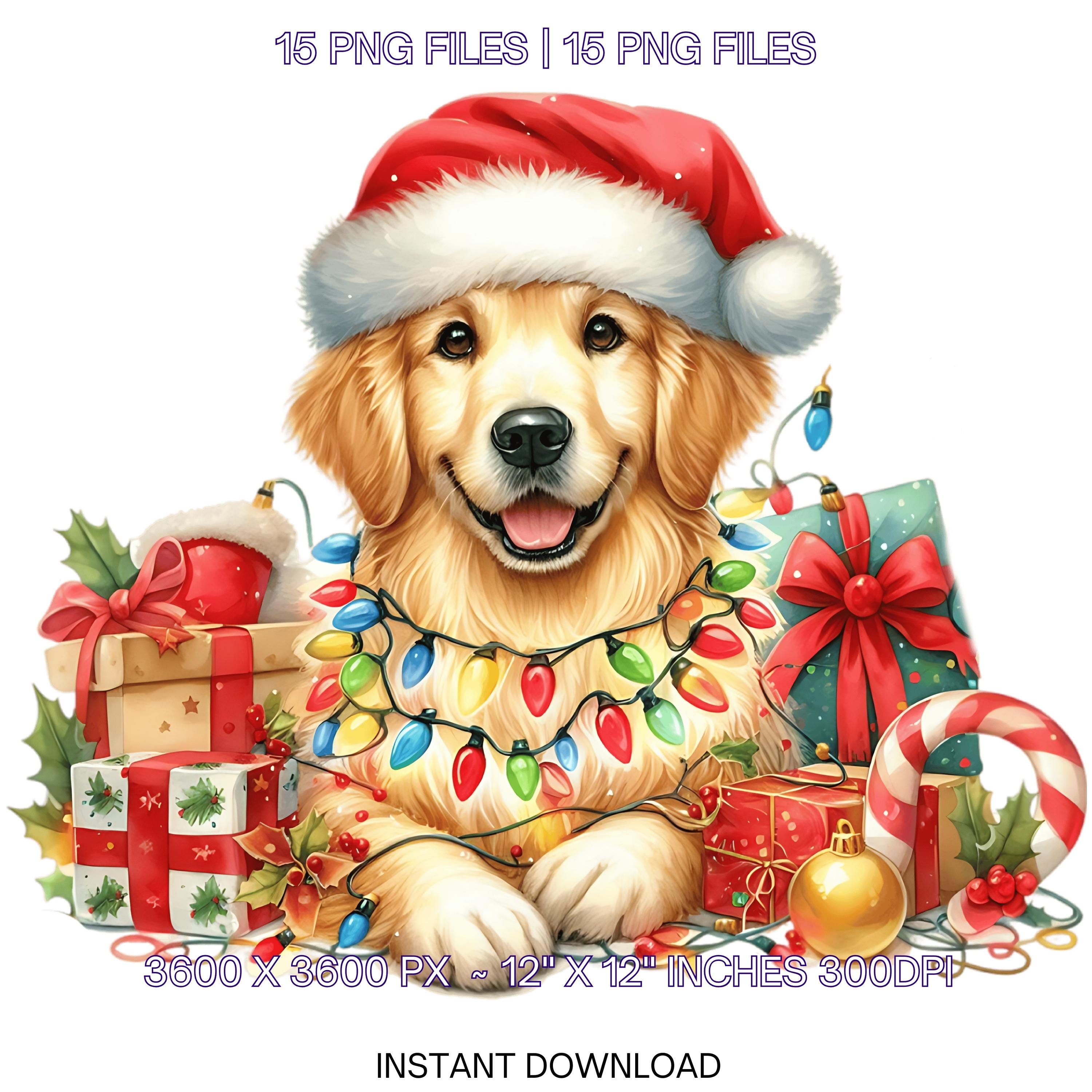 Christmas Golden Retriever Clipart | Holiday Lights PNG - Etsy