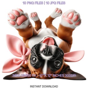 10 Boxer Puppy Dog Wearing Floral Handband & Floral Bow Ready for Easter Egg Hunting Clip Art PNG | Dog Lover Sublimation Commercial