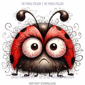 15 Clipart di coccinelle scontrose / PNG di coccinelle stravaganti e pazze / Scrapbooking stravagante, creazione di biglietti, design a sublimazione, uso commerciale