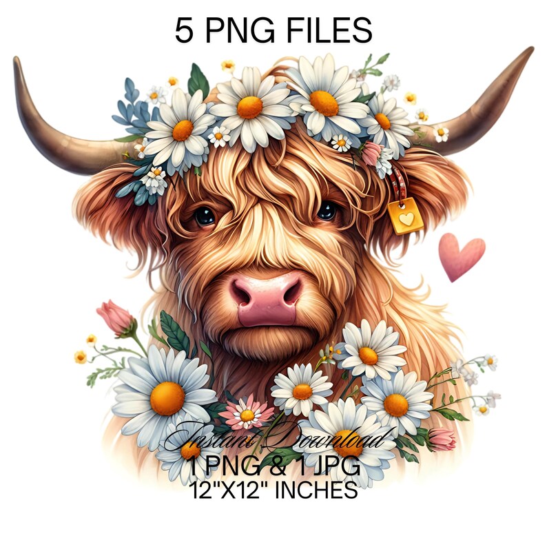 Highland Cow Watercolor Clipart: Spring Daisy Flowers (PNG, JPG) - Etsy