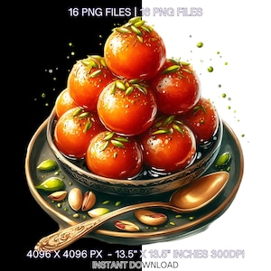 16 Illustrazione di cibo indiano Clipart / Cibo indiano PNG / Fast Food Clipart / Acquerello Cultura indiana PNG di alta qualità JPG Uso commerciale