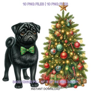 10 Black Pug with Christmas Tree Clipart PNG | Christmas Pug Clipart | Xmas Dog Clipart  Images Sublimation | Commercial Use