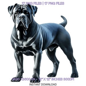 17 Cane Corso-hond voor huisdierportret, png-afbeeldingen | Aquarel zwarte Cane Corso-hond voor kaarten maken, scrapbooking, sublimatie commercieel gebruik