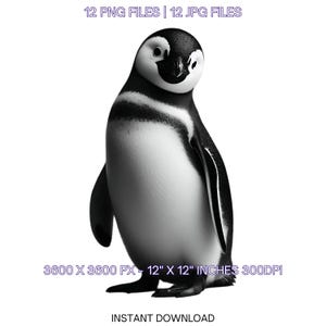 12 imágenes prediseñadas de pingüinos PNG transparentes / Acuarela de pingüinos árticos para sublimación, fabricación de tarjetas, álbumes de recortes, diario basura / uso comercial