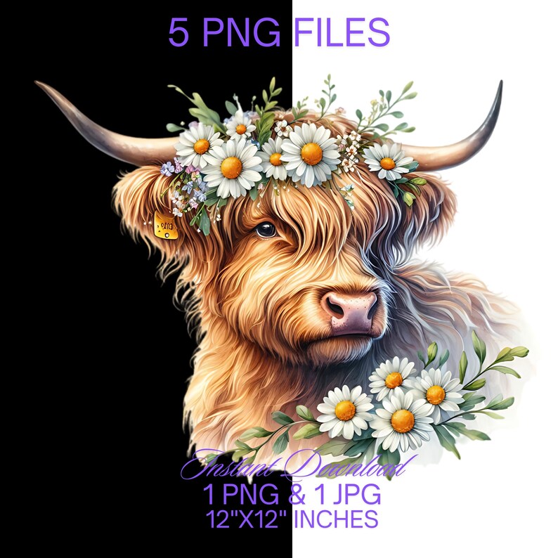 Highland Cow Watercolor Clipart: Spring Daisy Flowers (PNG, JPG) - Etsy