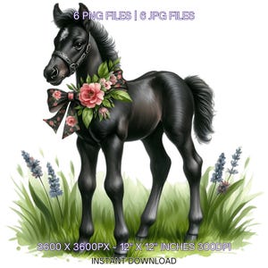6 cliparts PNG poulain noir printanier, cheval aquarelle, animaux de la ferme, fabrication de cartes, scrapbooking, journal indésirable, sublimation, usage Commercial