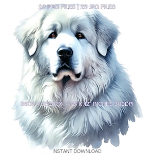 26 cliparts PNG chien des Grandes Pyrénées, chien aquarelle pour portrait d'animal de compagnie, fabrication de cartes, scrapbooking, journal indésirable, sublimation usage Commercial