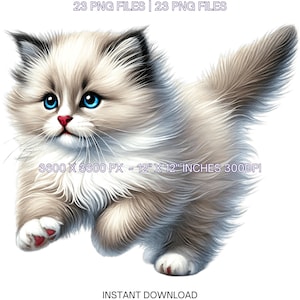 23 cliparts PNG chaton Ragdoll, chat aquarelle comme animal de compagnie pour la fabrication de cartes, scrapbooking, journal indésirable, illustrations en sublimation usage Commercial