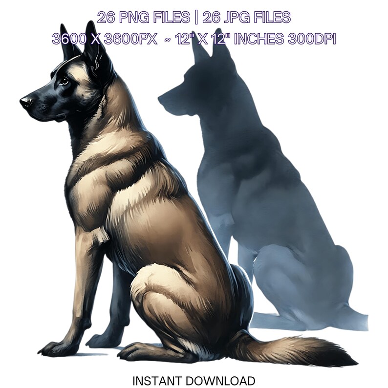 Shadow Malinois 26 Belgian Malinois Dog PNG Clipart, Watercolor Dog Card Making ...
