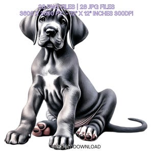 28 Great Dane Puppy Dog PNG Clipart | Watercolor Great Dane Baby Dog, Card Making, Scrapbooking, Junk Journaling, Sublimation Commercial Use