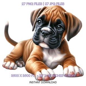 27 chiots Boxer, chien PNG Clipart | Aquarelle boxer chiots chiens pour fabrication de cartes, scrapbooking, journal indésirable, sublimation usage commercial