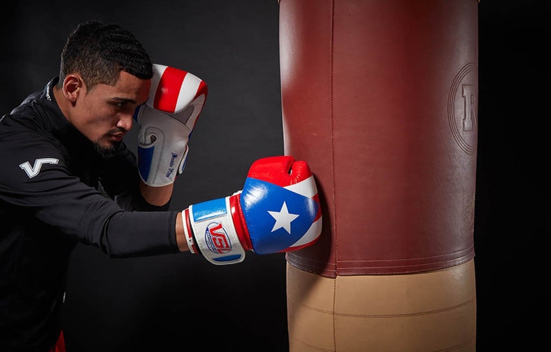 SHOWROOM Limited Edition MEXICO Valle 4000 LEATHER Pro Boxing Gloves