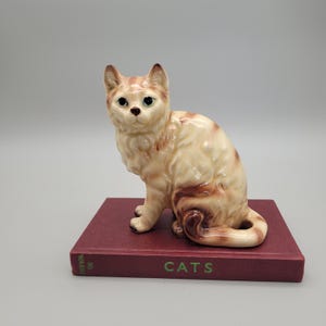Mid-Century Ceramic Cat...Wide-Eyed “I Beg Your Pardon?” Expression
