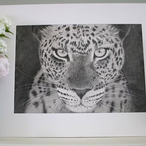 Leopard original graphite drawing