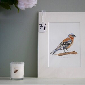 Chaffinch original watercolour painting