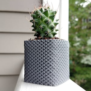 May include: A small green cactus plant in a gray, textured, square planter. The planter has a diamond pattern.