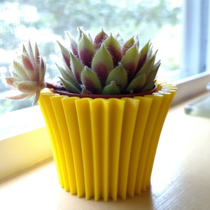 May include: A vibrant yellow, fluted planter pot holding a succulent plant with green and burgundy leaves. The pot sits on a windowsill, with a view of the outdoors in the background. The succulent has a small, offshoot plant.