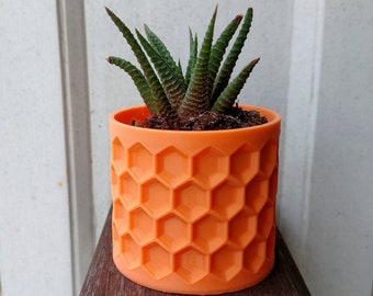 May include: A bright orange plant pot with a honeycomb design, containing a small succulent. The plant has dark green, striped leaves. The pot is on a wooden surface.