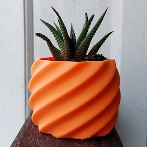 Corkscrew 3D Printed Planter - Succulent Mini Planter - Modern Geometric Design - Made To Order: Choose your Color and Size - NEW COLORS