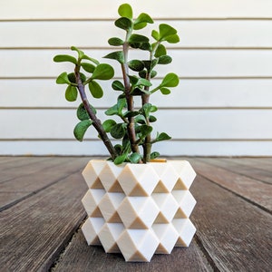 DIAMOND GRID 3D Printed Planter - Succulent Mini Planter - Modern Geometric Design - Made To Order: Choose your Color and Size - NEW Colors
