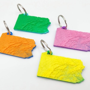 Puede incluir: Cuatro llaveros coloridos con forma de estado, cada uno con una superficie texturizada y un llavero de metal. Los llaveros son en tonos de verde, naranja, rosa y amarillo, con bordes azules o morados.