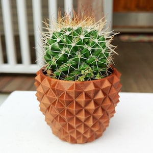 May include: A green cactus with white spines and brown tips sits in a geometric, brown, 3D-printed pot. The pot has a textured, faceted design. The plant is on a white surface.