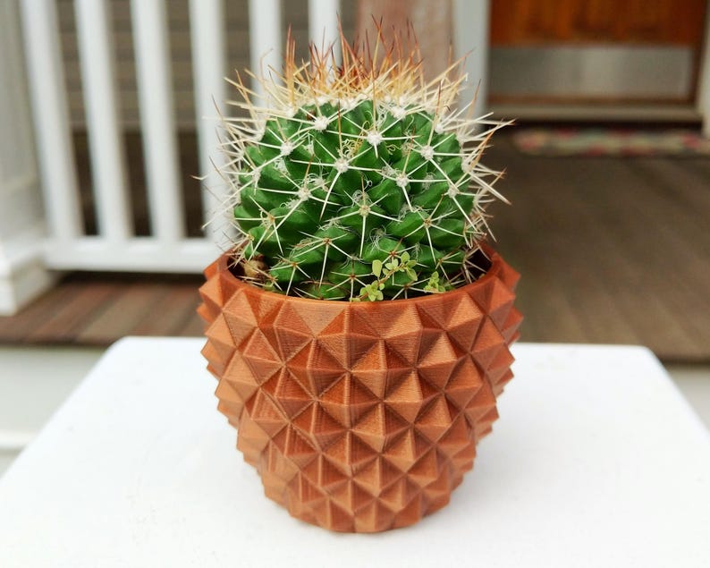 May include: A green cactus with white spines and brown tips sits in a geometric, brown, 3D-printed pot. The pot has a textured, faceted design. The plant is on a white surface.