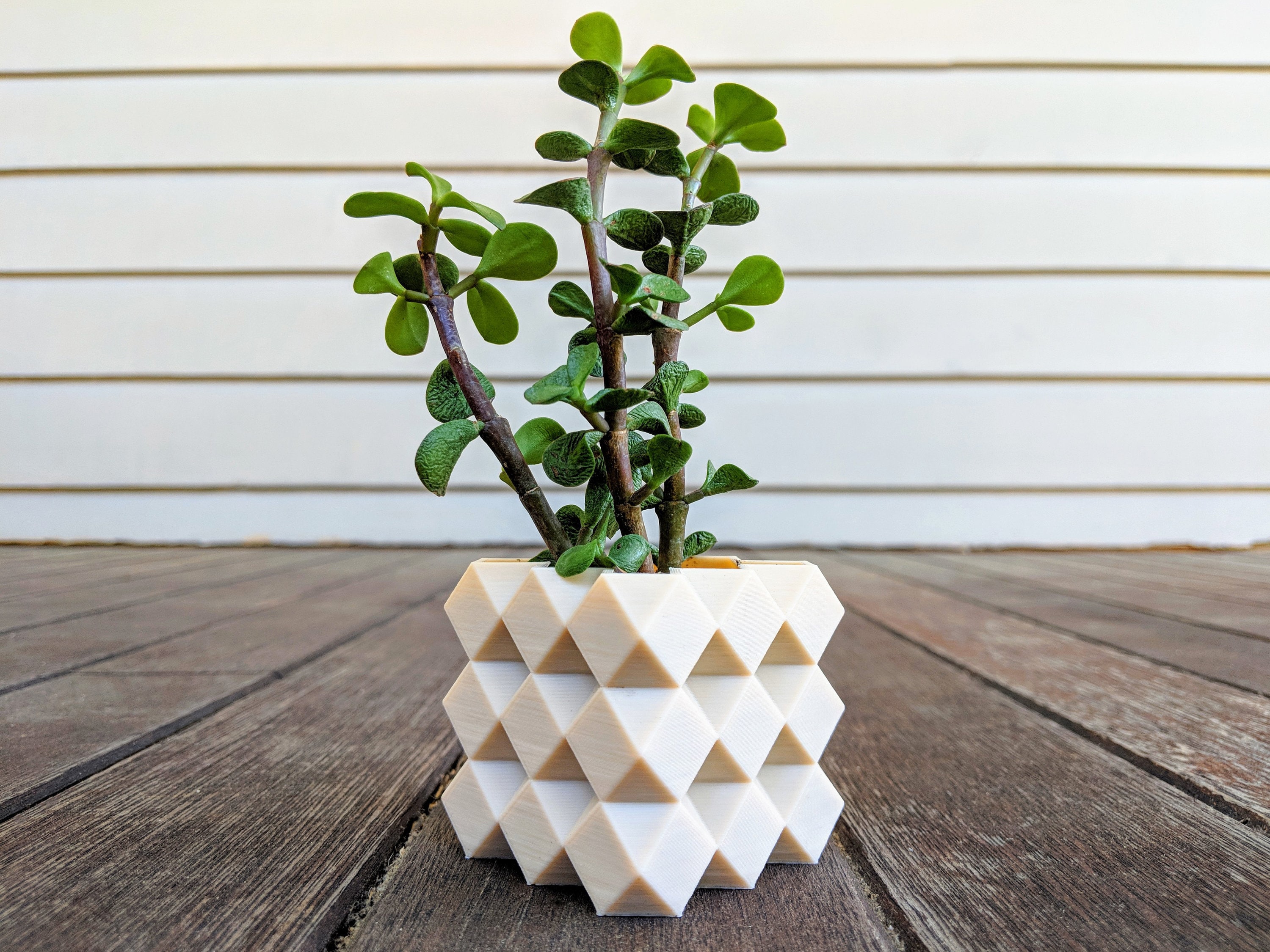 Diamond Grid 3d Printed Planter Succulent Mini Planter Etsy Singapore
