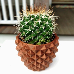May include: A green cactus with white spines and brown tips sits in a geometric, brown, 3D-printed pot. The pot has a unique, textured design. The plant is on a white surface.