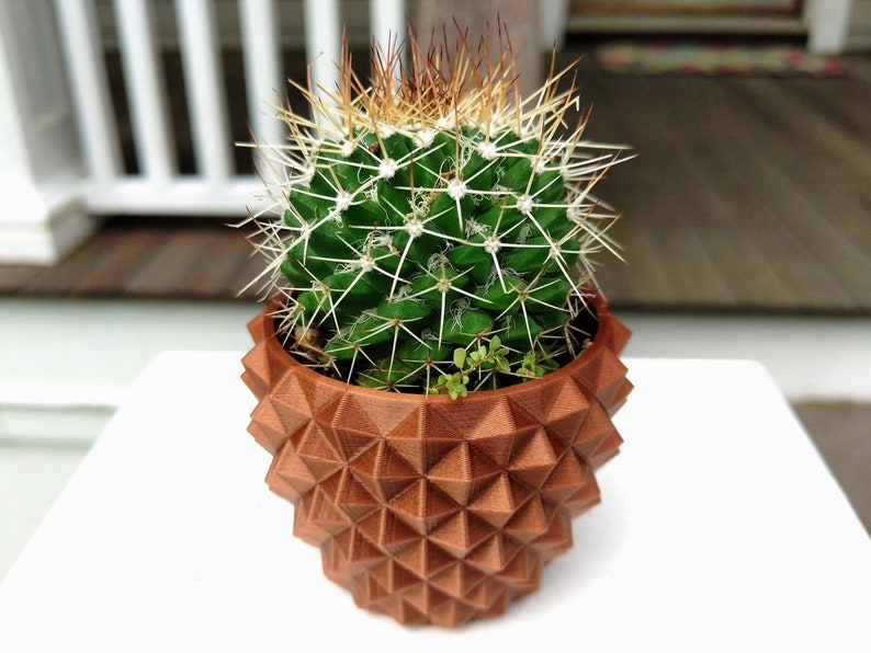 May include: A green cactus with white spines and brown tips sits in a geometric, brown, 3D-printed pot. The pot has a unique, textured design. The plant is on a white surface.