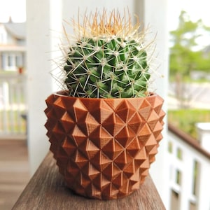 May include: A green cactus with long, light brown spines in a brown, geometric-patterned pot. The pot has a textured, three-dimensional design. The cactus is centered in the pot, which is sitting on a wooden surface.