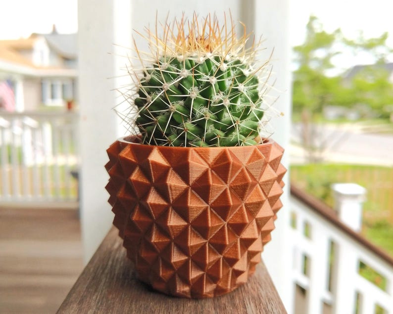 May include: A green cactus with long, light brown spines in a brown, geometric-patterned pot. The pot has a textured, three-dimensional design. The cactus is centered in the pot, which is sitting on a wooden surface.